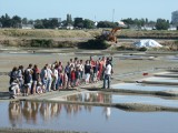 Guérande Saillé Maison des Paludiers Marais salants visite d'une saline