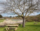 Picknickplatz Belmont