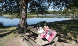 'Les Étangs de Sandun' picnic area