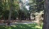 Picnic area of Le Pouliguen woods