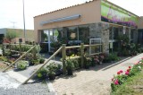 alliance florale exterieur