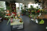Alliance florale intérieur