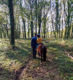 Balade à poney - Les Calèches Briéronnes - Port de Bréca à Saint-Lyphard