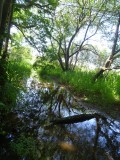 berges de rivière