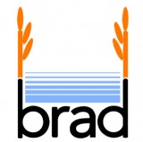 brad5-signature-courrier-1895078