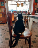Café librairie le Bateau Livre - Pénestin