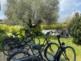 Camping Loscolo - Location de vélos