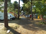 Camping Le Praderoi - Allée emplacement - Mesquer Quimiac