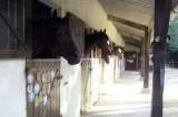 Centre équestre et poney club du Bel Air - Mesquer Quimiac - Box à chevaux