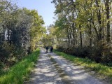 chemin rural Assérac