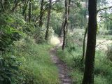 Wanderweg die Burgruine von Ranrouët in Herbignac