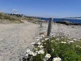 Circuit le tour de côte, le Croisic sentier côtier