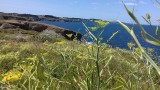 Compagnie du Golfe - croisières dans le Golfe du Morbihan-Belle-Ile-Houat-Hoedic