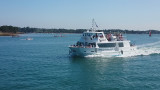Compagnie du Golfe - Croisières dans le Golfe du Morbihan et traversées maritimes vers Belle-Ile-Houat-Hoedic