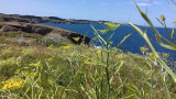 Compagnie du Golfe - Croisières dans le Golfe du Morbihan et traversées maritimes vers Belle-Ile-Houat-Hoedic