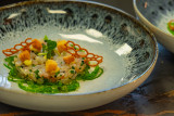 cuisine-ceviche-2039341