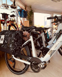 Cycles & Co - Location de vélos - Pénestin