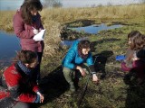 Découverte et analyse des marais Site de Rozé Brière - Saint-Malo-de-Guersac