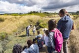 Visite guidée marais salants Guérande - Photo Guillaume Arnault