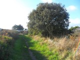 Du sel aux vignes - Le Croisic - chemin