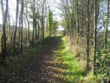 Du sel aux vignes - Le Croisic - chemin