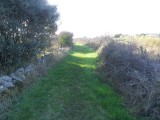 Du sel aux vignes - Le Croisic - chemin des Vignes