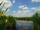 Radtour - Zwischen Schilfdachhäusern und Sumpflandschaft