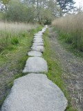 Entre chaumières et marais - pont de Gras