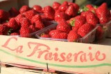 Guérande intra-muros, La Fraiseraie, barquettes de fraises