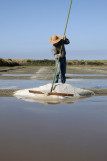 Crédit photo Terre de Sel / Photo Pascal François.