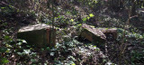 Histoire Dune Forêt - chemin - La Baule