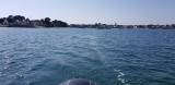 Iles et rivages - Locmariaquer