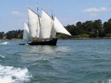 Izenah Croisières - Traversées dans le Golfe du Morbihan - Larmor Baden