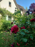 Jardin - Chambres d'hôtes chaumière - La Roselière - Saint-Lyphard