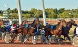 Hippodrome de Pornichet - courses hippiques