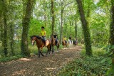 La Baule les pins - Forêt d'Escoublac - équitation