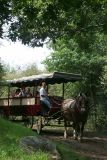 La calèche, un moyen ludique de découvrir les villages de chaumières et les traditions d'autrefois