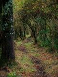 La chalandière et le Brivet - Marais de St Second