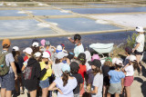 La Saline de Beauregard - Laurent Retailleau - Marais salants du Mès - Assérac