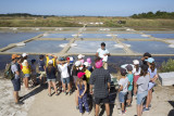 La Saline de Beauregard - Laurent Retailleau - Marais salants du Mès - Assérac