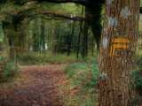 Wanderweg die Burgruine von Ranrouët in Herbignac