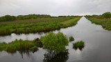 Le marais de Brière