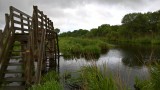 Le marais de Brière - Passerelle de Tréhé