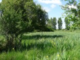 Le Pic Vert