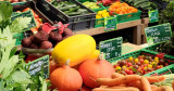 Le Potager de Trébestan - Maraîchage bio - Pénestin