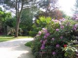 Le pré à coquette, Chambre d'hôtes proche des marais de Brière -Vaste jardin clos et arboré