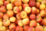Les Hameaux Bio - Biocoop - Guérande - Pommes