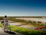 Les marais salants à vélo