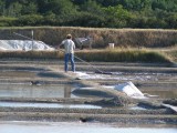 les-salines de Nicolas ARNOULD- Bretagne plein sud