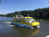 Les Vedettes Jaunes - Croisières sur la Vilaine - Arzal